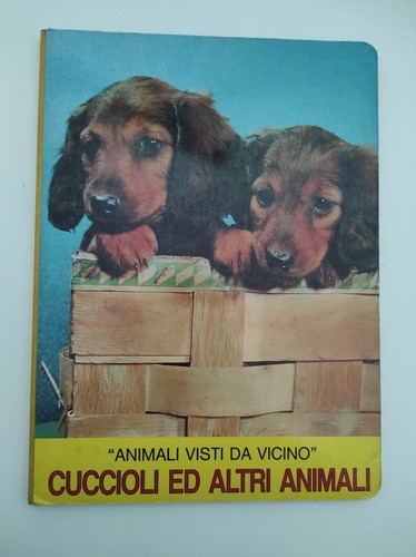 Animali visti vicino - visti,