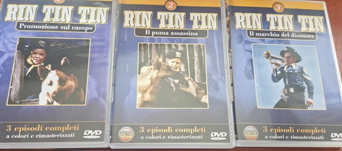 Rin tin dvd nuovi - rin, mai